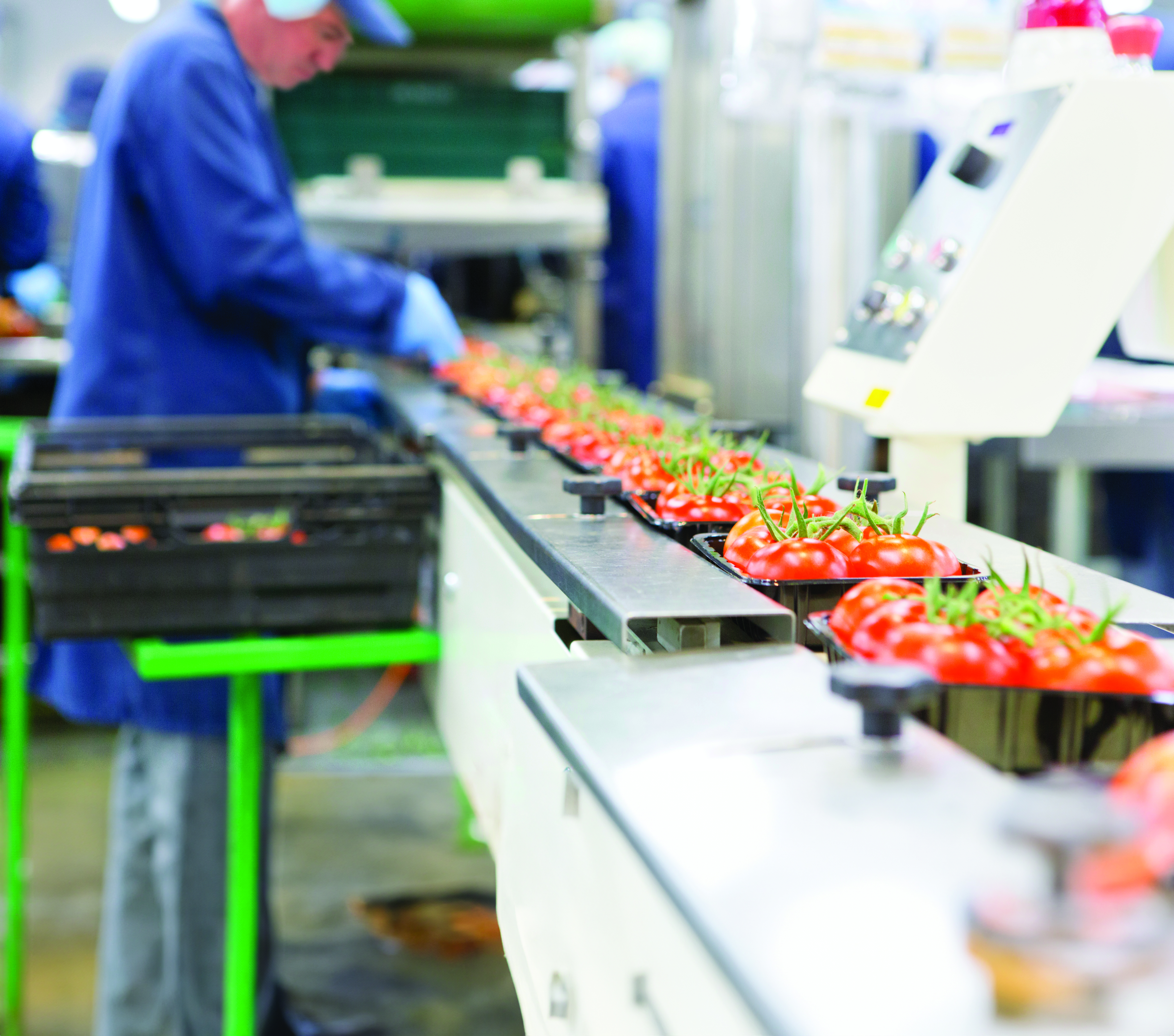 Specialty Chemicals Provider for F&B Industry