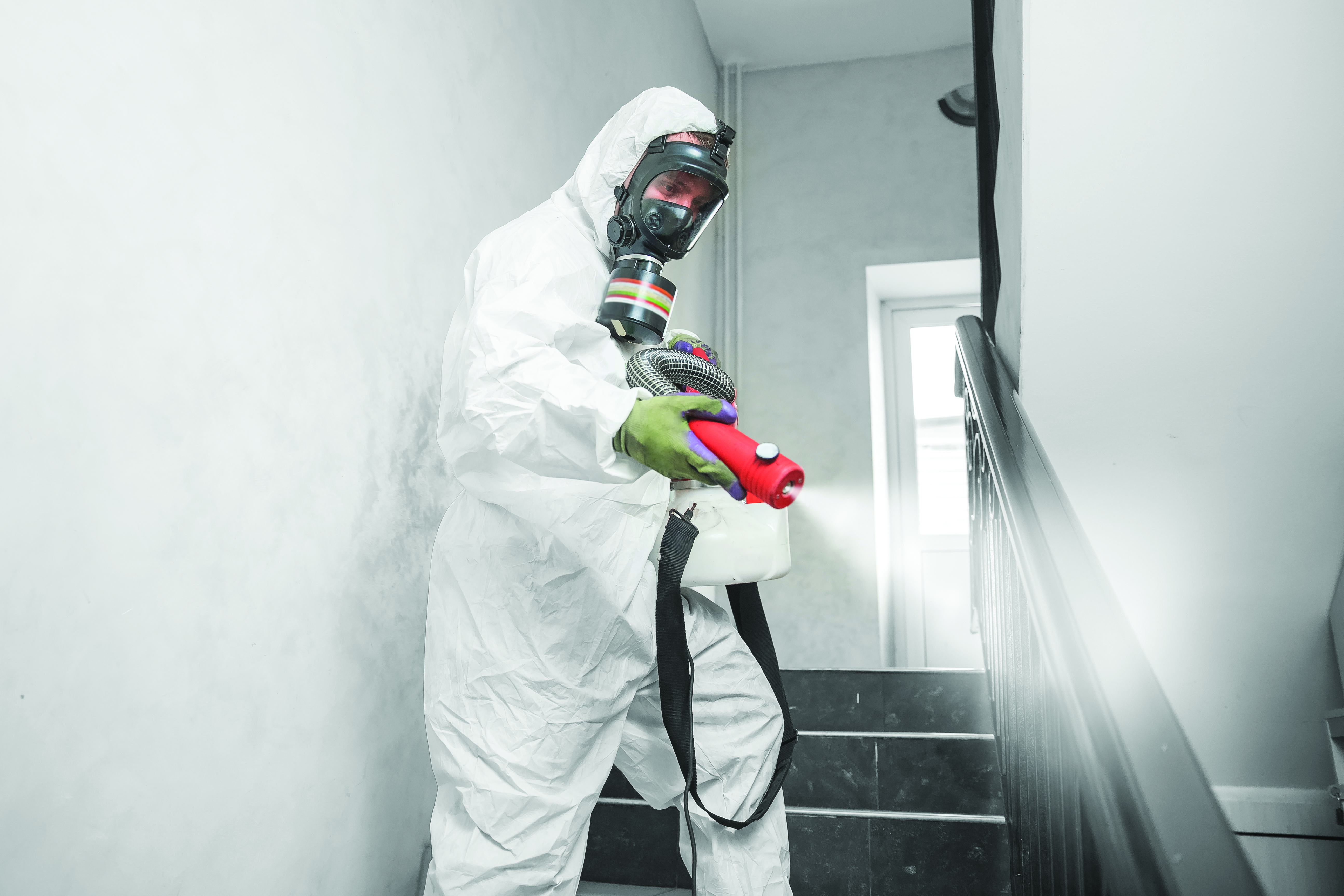 Innovative Pest Control Solutions