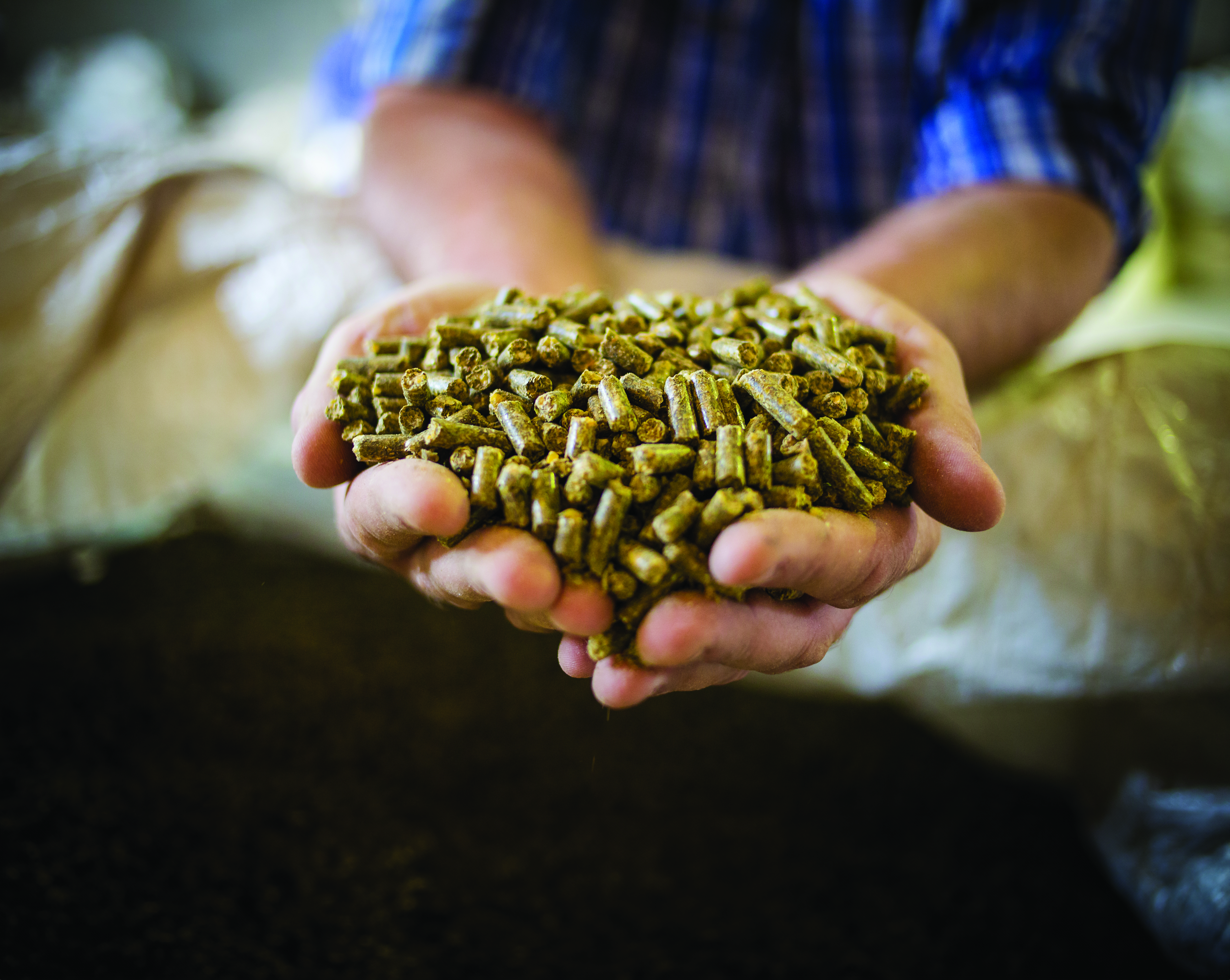 Scientifically Formulated Finished Feeds